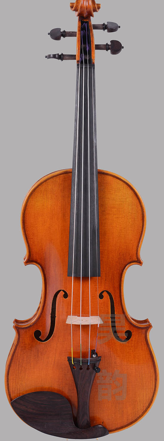 小提琴專業(yè)級