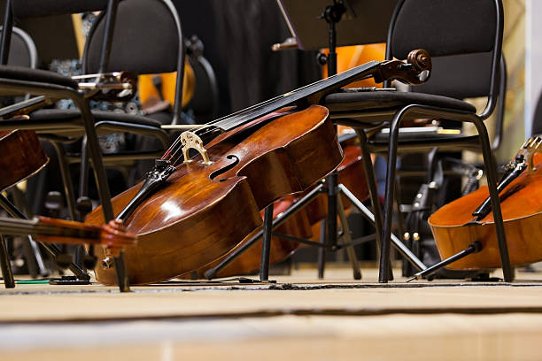 如何保養你的大提琴,這是終極指南,趕緊收藏