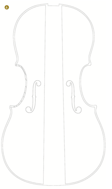 包含f孔的木板是腹部唯一的原始木塊